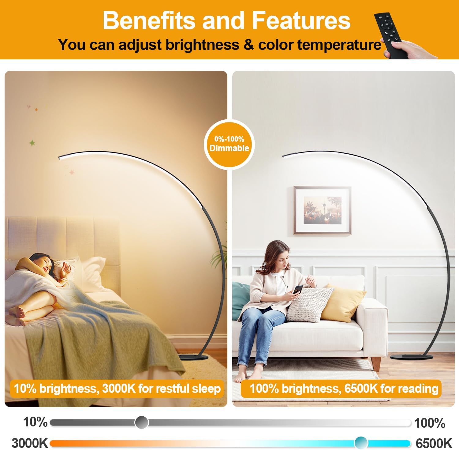 LED Arc Floor Lamp with Remote