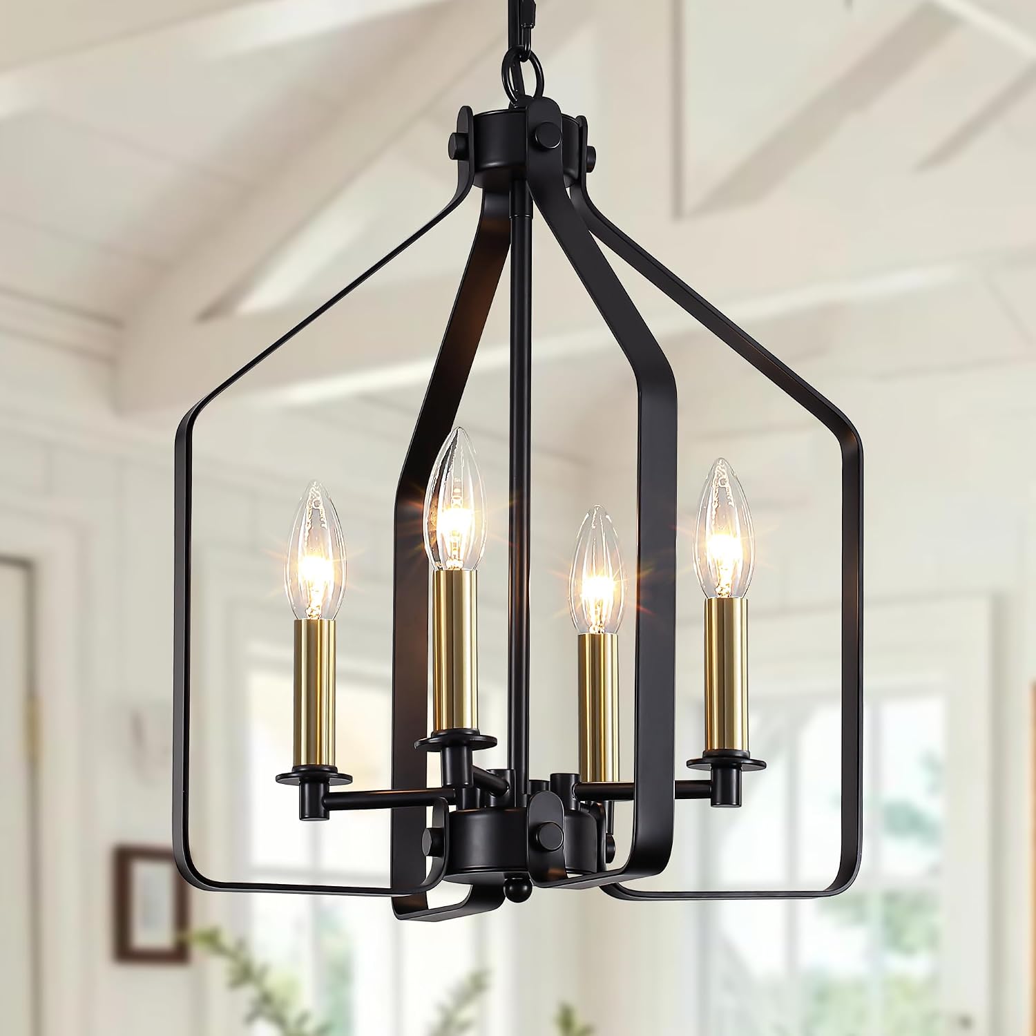 Black Gold Cage Farmhouse Chandelier